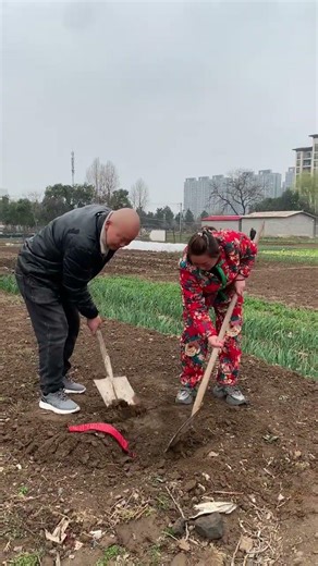 2024 Horse Year: Silent Fortune & Endless Prosperity Wishes