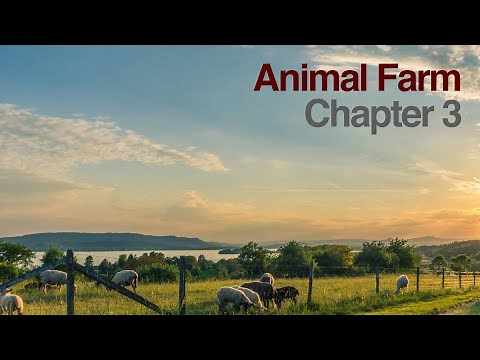 Animal Farm Chapter 3