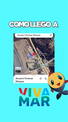 Viva Mar on Instagram: "¿Cómo te llego a acuario VivaMar? Aquí te lo explicamos🐠 Te mostramos la ruta desde la "Rotonda Concón" Recuerda que puedes buscarnos por Google Maps para así calcular la ruta ¡desde donde estés!"