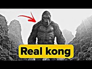 Gigantopithecus Blacki: The Real King Kong of Prehistoric Asia!