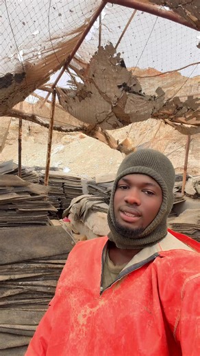 Triste Harmonica: Émotions Authentiques à Travers la Musique