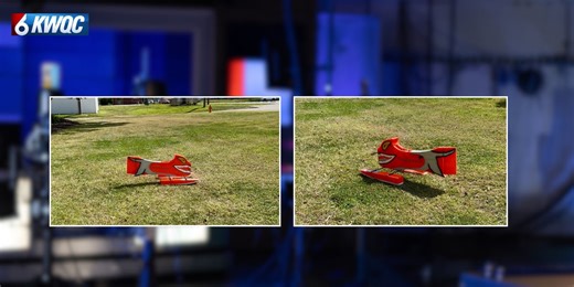 Duck, duck, goose: Moline unveils Goosinator aimed to deter geese from parks