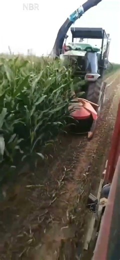 #Agricultural Machinery#Farm Machinery#Silage Feed#Potato Harvesting Equipment#Livestock Machinery