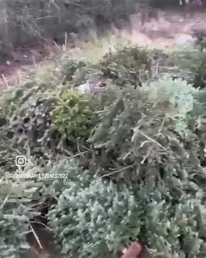 56 reactions · 9 comments | We came, we collected, we conquered!...