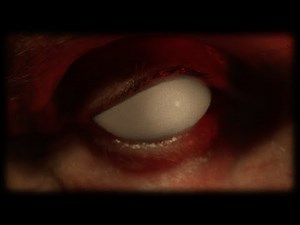 Mr. Bungle - "Eracist"