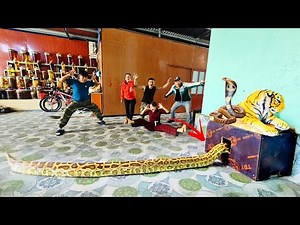 Brave rescuer saves 70-year-old woman from two Anaconda snakes.