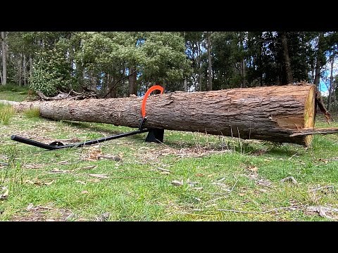 Tazzy Devil log lifter / log roller