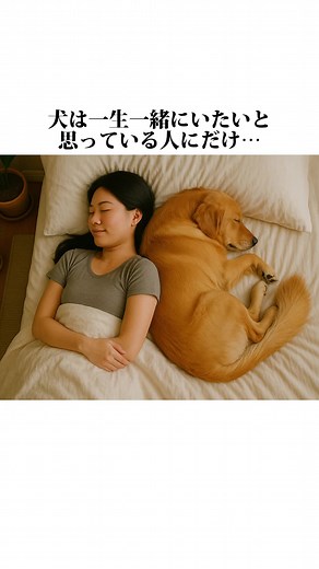 犬が愛情を示す行動4選とは