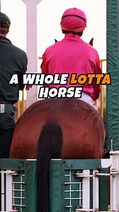 This Horse Was TOO BIG for the Starting Gates