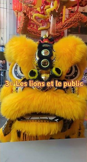 Danse du Lion | Paris 13, Tang Frères