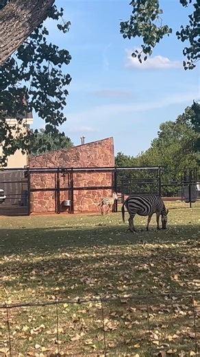 59K views · 1.4K reactions | We're zooming in on the fun with our...