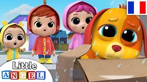 Bingo le chien se cherche une famille. Il a plein d’amour à donner et un grand besoin de courir et jouer. Aujourd’hui est son jour de chance puisque la famille de Bébé Louis se promène sous la pluie, et c’est au tournant du coin ils aperçoivent BINGO le Chien et juste comme ça… La famille s’aggrandit pour le bonheur des tout-petits! Voici donc notre comptine BINGO le Chien dans une compilation de comptines classiques en français. Cette comptine Little Angel Français aide à apprendre à prendre so