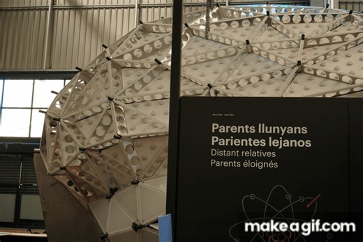 Brain GIF on Make a GIF