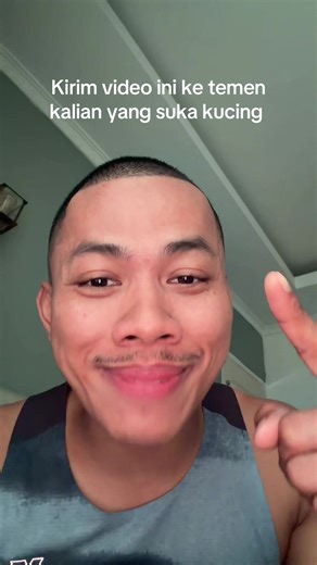 Kirim ya guys 🤏🏽 | kucing