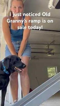 The most used item for our hunting dogs! WeatherTech Dog Ramp #dog #hunting #labradors