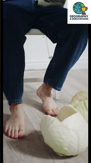 Unbelievable Vegetable World Records You Won’t Believe! #GiantVegetables #WorldRecords