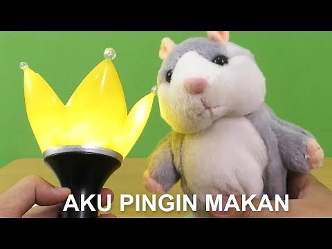 KOMPILASI VIDEO LUCU HAMSTER LEGEND PART 4