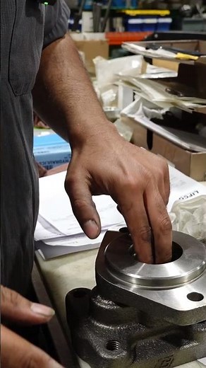 Why Do We Assemble Gear Pumps in House?