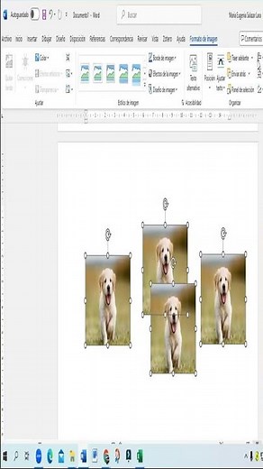 ✏️ HOW TO COPY AND ALIGN IMAGES IN WORD