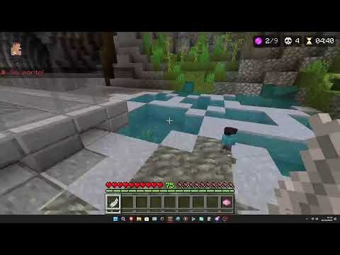 minecraft bedrock the hive server