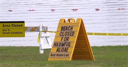 Harmful bacteria at Blue Marsh Lake leads to closures