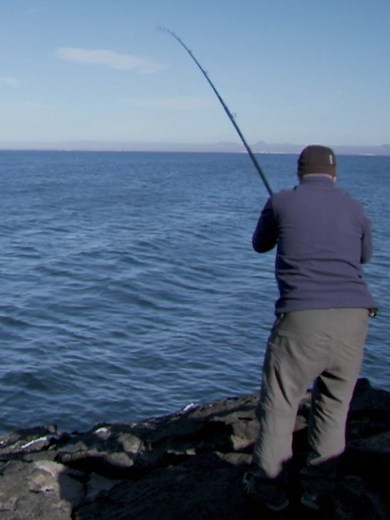 Uncovering the Mysteries of River Monsters