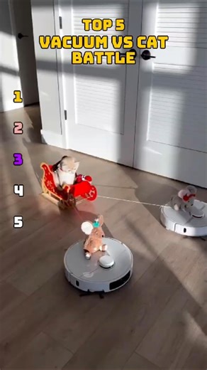 Top 5 Cats vs Robot Vacuum 😹 #FunnyCats #Shorts #USA