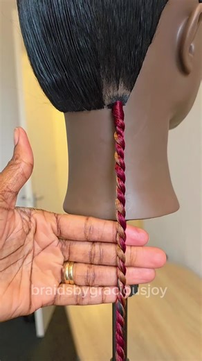 twist Braids Tutorial | braids