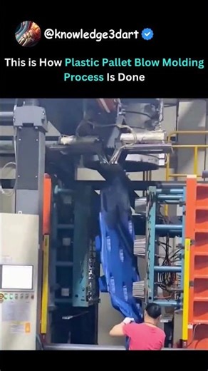 This is How Plastic Pallet Blow Molding Process Is Done