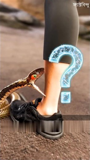 What should you do if a snake bites you?