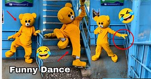 695K views · 57K reactions | Crazy Teddy Dance on Bridge 藍 | Mr Crazy | Facebook