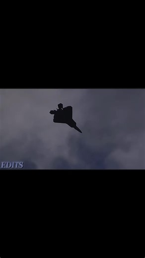 Understanding Aviation Maneuvers and Techniques