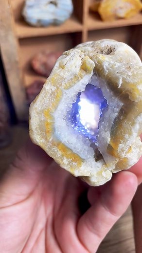 I can’t believe I found this amethyst geode-like agate. Might be a limb cast. Crazy find. Lewis County, WA #washington #rockhound #amethyst #agate #crystals | Chris Sims