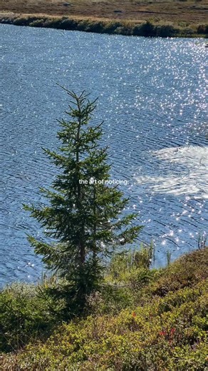 #cinematic #filmmaking | Cinematic