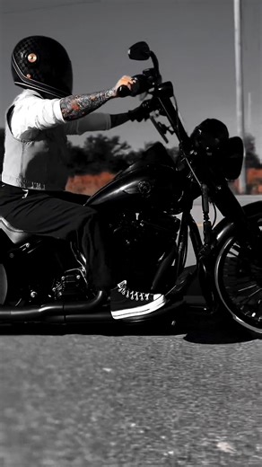 5.5K views · 100 reactions | What can be more badass than a rider with a fully decked-out motorcycle? @brandy.salinas Viking Panzer Large Motorcycle Saddlebags for Harley Davidson Softail Slim #vikingbags #harleydavidson #softail #slim #saddlebags #motorcycleluggage | Viking Bags | Facebook