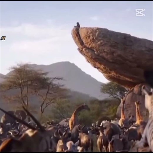 vai via dalla mia vita vhe dio sia con te vai figliolo