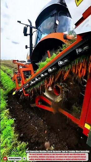 Best Innovative Machine Carrot Harvester Tool for Farming Wow Innovation