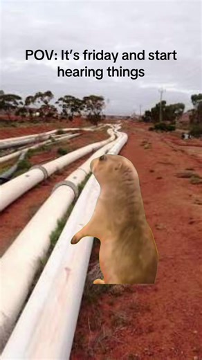 #Meme #MemeCut #fyp #viralvideo #viral