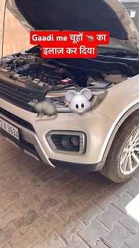 Gaadi me chuho 🐀 🐭 ka permanent solution kar diya | Rats inside car’s cabin