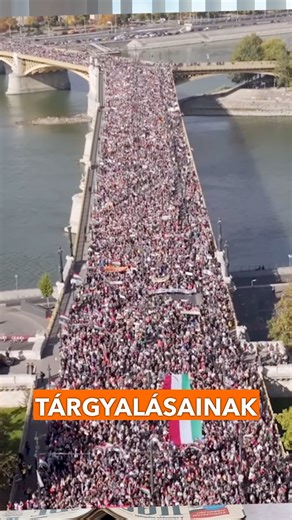 V. Németh Zsolt on Reels