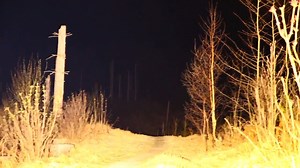 IMALENT MS18W 100000lumens beam shot at night in the forest. Author:nubkoko https://www.imalentstore.com/products/imalent-ms18-100000-lumen-flashlight #flashlight #gadget #tech #imalent #brightestflashlight | Imalent Flashlights | Facebook