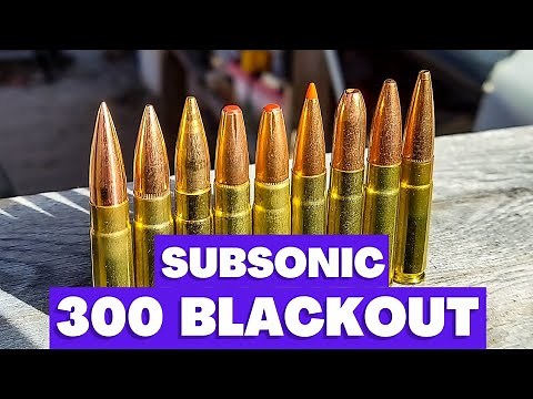 300 Blackout - Ultimate Subsonic Ammo Test!!!