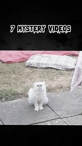 1.1M views · 10K reactions | join the group "Random Videos Scary On Internet" has a lot of scary ghost, mystery, dark wed vide | Jaydin Davies | Facebook