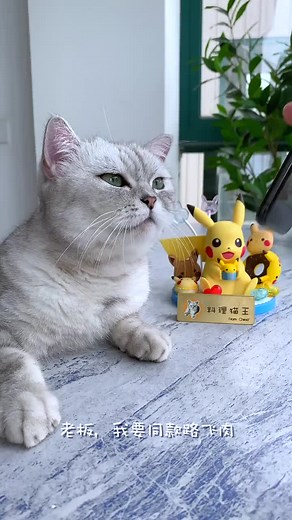 Cat Meo Meo 🐱 (@meowmewoid)’s videos with original sound - Cat Meo Meo 🐱