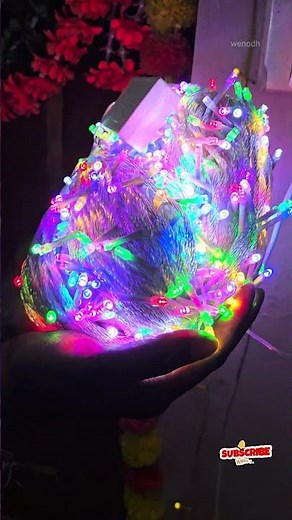 Homesake 600 LED 100M String Lights | 8 Modes Multicolor Fairy Lights | Outdoor & Festive Decoration