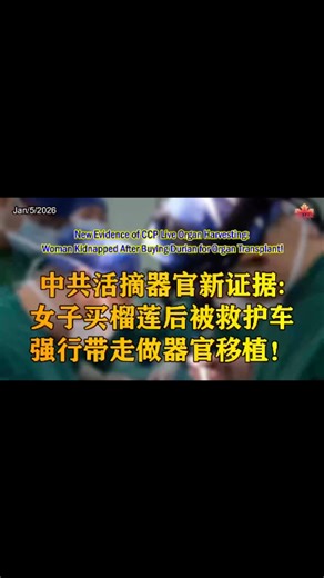 douxinxin on Instagram: "New Evidence of CCP Live Organ Harvesting: Woman Kidnapped After Buying Durian for Organ Transplant! Douyin leak shocks China: Woman kidnapped by “ambulance” after buying durian—chat logs show DNA anti-rejection passed, Jilin University hospital has liver/kidney recipients! U.S. rights group accuses the Chinese Communist Party (CCP) of large-scale live organ harvesting from Falun Gong & missing youth—posts & account censored instantly! 中共活摘器官新证据：女子买榴莲后被救护车强行带走做器官移植！ 抖音爆料