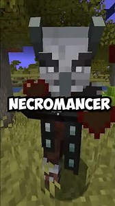 Deadliest Minecraft raid ever! (Leo's illagers mod)