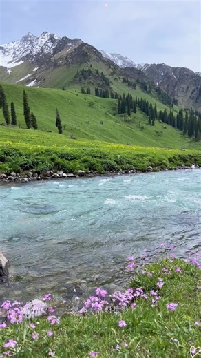 How to Gain Attention Effectively