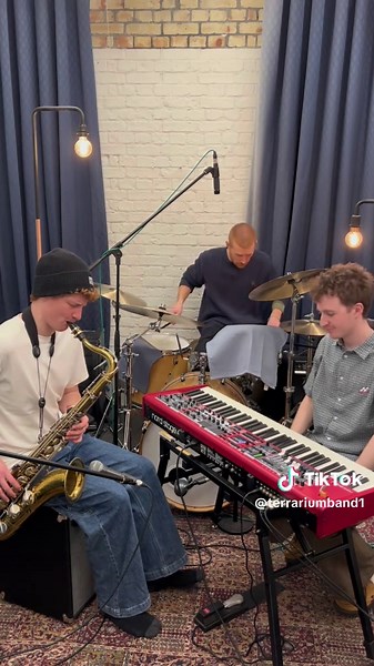 Terrarium's Captivating Sax Solo in 'Too Hard to Handle'