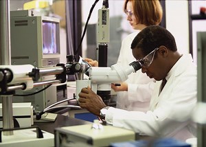 What’s It Like to Get a Ph.D. in Science?